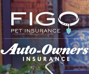 Pet Medical Insurance