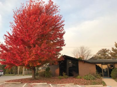 Vehicle Maintenance for the Fall