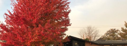 Vehicle Maintenance for the Fall