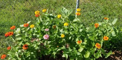 A Wedding Saturday Within the Month of June?