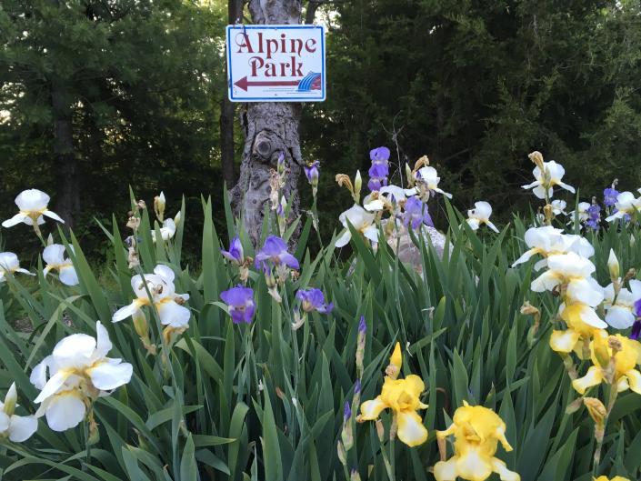 Alpine Park and Gardens