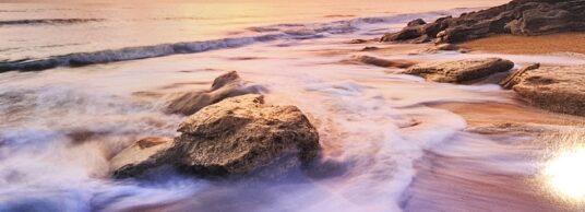 2026 Calendars are at the Office!