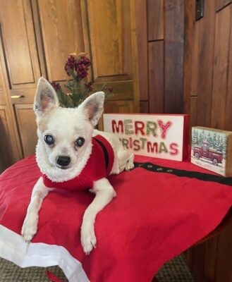 December Already? Merry Christmas!