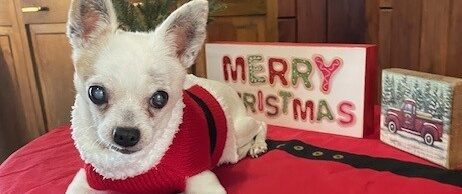 December Already? Merry Christmas!